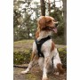 Hundegeschirr SYMBIOZ Schwarz XXS | Tienda24 - Global Online Shop Tienda24.eu