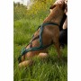 Harnais pour Chien Olympia XXS de Olympia, Harnais - Réf : S71009415, Prix : 47,98 €, Remise : %