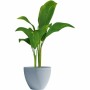 Blumentopf Garden ID Grau 30 x 26 cm | Tienda24 - Global Online Shop Tienda24.eu