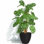 Plant pot Garden ID Black 40 x 31 cm | Tienda24 - Global Online Shop Tienda24.eu