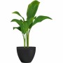 Blumentopf Garden ID Schwarz 40 x 31 cm | Tienda24 - Global Online Shop Tienda24.eu