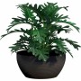 Plant pot Garden ID Black 25 x 12 cm | Tienda24 - Global Online Shop Tienda24.eu