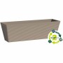 Blumenkasten Garden ID Taupe 50 x 16 x 16 cm | Tienda24 - Global Online Shop Tienda24.eu