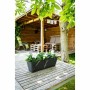 Blumenkasten Garden ID Schwarz 50 x 16 x 16 cm | Tienda24 - Global Online Shop Tienda24.eu