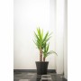 Blumentopf Garden ID Schwarz 30 x 27 cm | Tienda24 - Global Online Shop Tienda24.eu