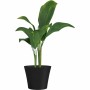 Blumentopf Garden ID Schwarz 30 x 27 cm | Tienda24 - Global Online Shop Tienda24.eu