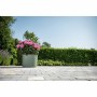 Selbstbewässernder Blumentopf Garden ID Hellgrün 20 x 20 cm | Tienda24 - Global Online Shop Tienda24.eu