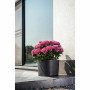 Blumentopf Garden ID Respect Schwarz 20 x 20 cm von Garden ID, Übertöpfe - Ref: S71009558, Preis: 28,11 €, Rabatt: %