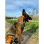 Harnais pour Chien Olympia XL de Olympia, Harnais - Réf : S71009587, Prix : 47,98 €, Remise : %