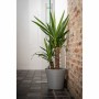 Pot auto-arrosant Garden ID Taupe 40 cm | Tienda24 - Global Online Shop Tienda24.eu