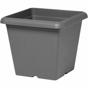 Plant pot Elho Ø 33 cm Black Plastic | Tienda24 - Global Online Shop Tienda24.eu