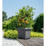 Blumentopf Garden ID Anthrazit karriert Steineffekt 40 x 35 cm | Tienda24 - Global Online Shop Tienda24.eu