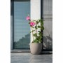 Plant pot Garden ID Taupe 38 x 34 cm | Tienda24 - Global Online Shop Tienda24.eu