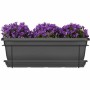 Jardinera Garden ID Antracita 50 cm | Tienda24 - Global Online Shop Tienda24.eu