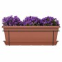 Blumenkasten Garden ID Terrakotta 50 cm | Tienda24 - Global Online Shop Tienda24.eu