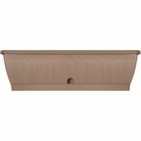 Flower Pot Dish Dem Brown | Tienda24 - Global Online Shop Tienda24.eu