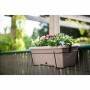 Blumenkasten Garden ID Taupe Steineffekt 50 cm | Tienda24 - Global Online Shop Tienda24.eu