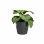 Plantador Artevasi SAN REMO Antracite Ø 30 cm de Artevasi, Vasos - Ref: S71011513, Preço: 31,15 €, Desconto: %