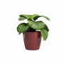 Cache-pot Artevasi SAN REMO Rouge foncé Ø 30 cm de Artevasi, Cache-pots - Réf : S71011516, Prix : 31,15 €, Remise : %