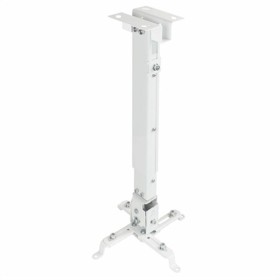 TV Halterung Neomounts FL50S-825WH1 70 Kg | Tienda24 Tienda24.eu