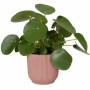 Plant pot Elho  Ø 30 cm Plastic | Tienda24 - Global Online Shop Tienda24.eu