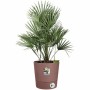 Self-watering flowerpot Elho  Brown Plastic Ø 43 cm | Tienda24 - Global Online Shop Tienda24.eu