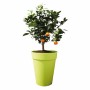 Blumentopf Elho Grau kreisförmig Ø 35 cm | Tienda24 - Global Online Shop Tienda24.eu