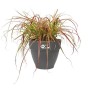 Blumentopf Elho Ø 55 cm Schwarz Kunststoff rund Moderne | Tienda24 - Global Online Shop Tienda24.eu