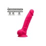 Consolador Realista Silexd Rosa de Silexd, Consoladores realistas - Ref: M0402897, Precio: 24,87 €, Descuento: %