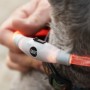 Collier à LED pour Animaux Petlux InnovaGoods | Tienda24 Tienda24.eu