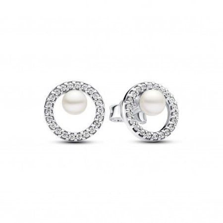 Buy Ladies' Earrings Pandora 293154C01