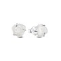 Buy Ladies' Earrings Pandora 293209C01