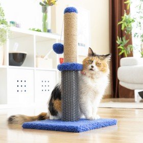 Grattoir pour Chats Trixie Junior Violet 50 cm | Tienda24 Tienda24.eu