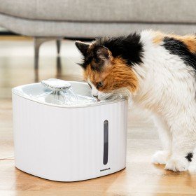 Fontaine pour Chats Rechargeable avec Détecteur Refopet InnovaGoods | Tienda24 Tienda24.eu