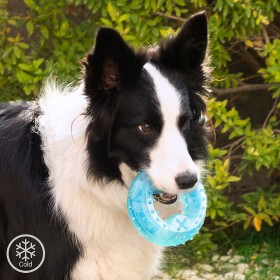 Giocattolo da Mordere Congelabile per Animali Domestici 2 in 1 Glubiz