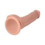 Realistic Dildo Virgite 20 cm | Tienda24 - Global Online Shop Tienda24.eu