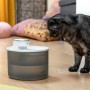 Fontaine pour Chats Rechargeable avec Détecteur Refopet InnovaGoods | Tienda24 Tienda24.eu