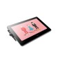 Tabletas Gráficas y Pens Wacom DTH167K0B de Wacom, Tabletas gráficas - Ref: S7738962, Precio: 1,00 €, Descuento: %