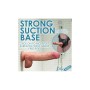 Realistic Dildo XR 22,2 cm | Tienda24 - Global Online Shop Tienda24.eu