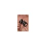 Anillo para el Pene XR Negro de XR, Anillos - Ref: M0403329, Precio: 12,80 €, Descuento: %