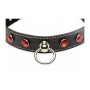 Collana XR Rosso | Tienda24 - Global Online Shop Tienda24.eu