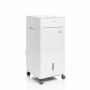 Climatiseur à Évaporation Portable Multifonction Airvecove InnovaGoods 65 W Blanc 5 L (Reconditionné A) | Tienda24 Tienda24.eu