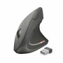 Ergonomic Optical Mouse Trust Verto by Trust, Mice - Ref: S7802411, Price: 41,91 €, Discount: %