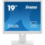 Monitor Iiyama ProLite B1980D-W5 19" TN LCD 60 Hz by Iiyama, Monitors - Ref: S7827273, Price: 195,94 €, Discount: %