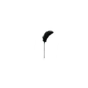 Plumas Eróticas EasyToys Negro de EasyToys, Estimuladores - Ref: M0403510, Precio: 7,65 €, Descuento: %