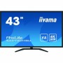 Monitor Iiyama 4K Ultra HD di Iiyama, Monitor - Rif: S7842618, Prezzo: 716,56 €, Sconto: %