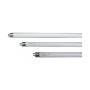 Tubo fluorescente EDM 06026 t8 Azzurro 2100 W 10 W T8 Ricambio Uccidi gli insetti elettrici di EDM Product, Lampadine fluores...