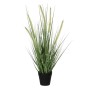 Planta Decorativa Mica Decorations Dogtail PVC de Mica Decorations, Plantas - Ref: S7901865, Preço: 19,07 €, Desconto: %