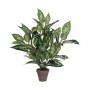 Pianta Decorativa Mica Decorations Dieffenbachia Dieffenbachia Verde PVC (15,7 x 70 cm) di Mica Decorations, Piante artificia...