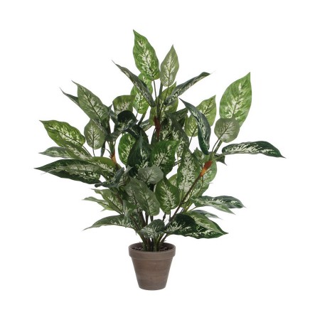 Dekorationspflanze Mica Decorations Dieffenbachia Dieffenbachia grün PVC (15,7 x 70 cm) von Mica Decorations, Pflanzen - Ref:...